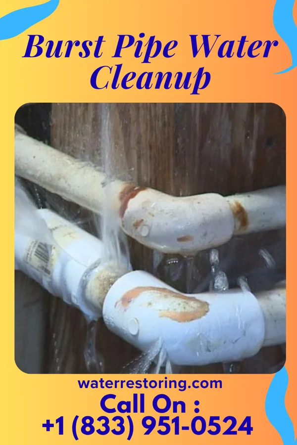 Burst Pipe Water Cleanup in Utica, PA