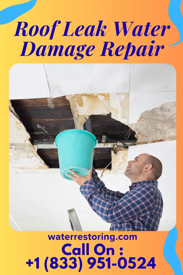 Roof Leak Water Damage Repair in Utica, PA