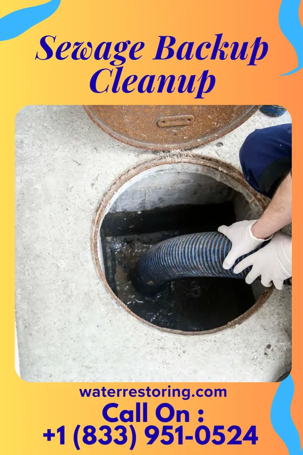 Sewage Backup Cleanup in Utica, PA
